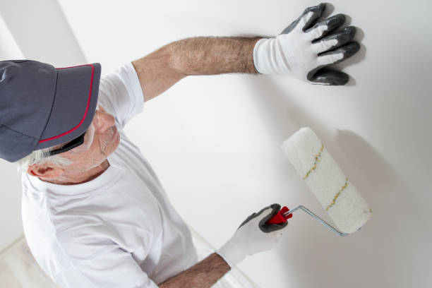 Best Black Mold Removal  in Carthage, NY