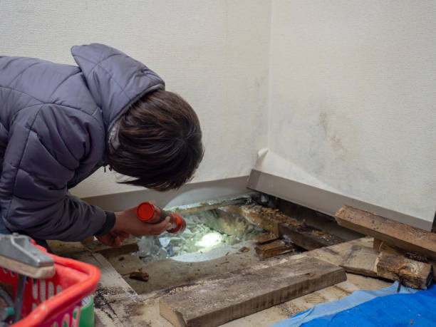 Best Industrial Mold Remediation  in Carthage, NY