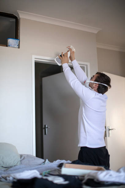 Best Asbestos and Lead Testing During Mold Inspection  in Carthage, NY
