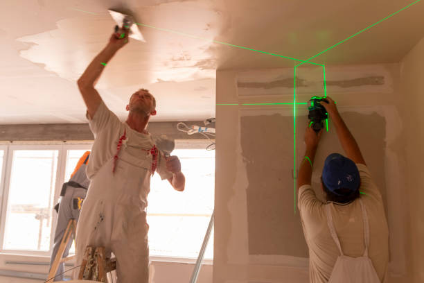 Best Mold Documentation for Insurance Claims  in Carthage, NY