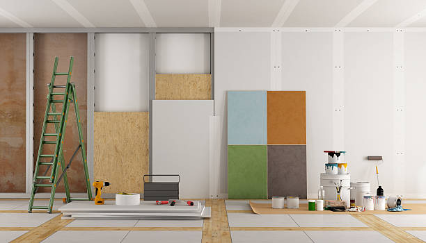 Best Post-Construction Mold Inspection  in Carthage, NY