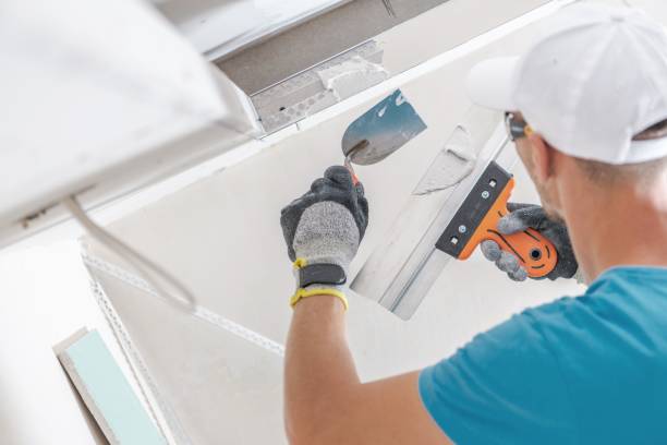 Best Real Estate Mold Inspection  in Carthage, NY